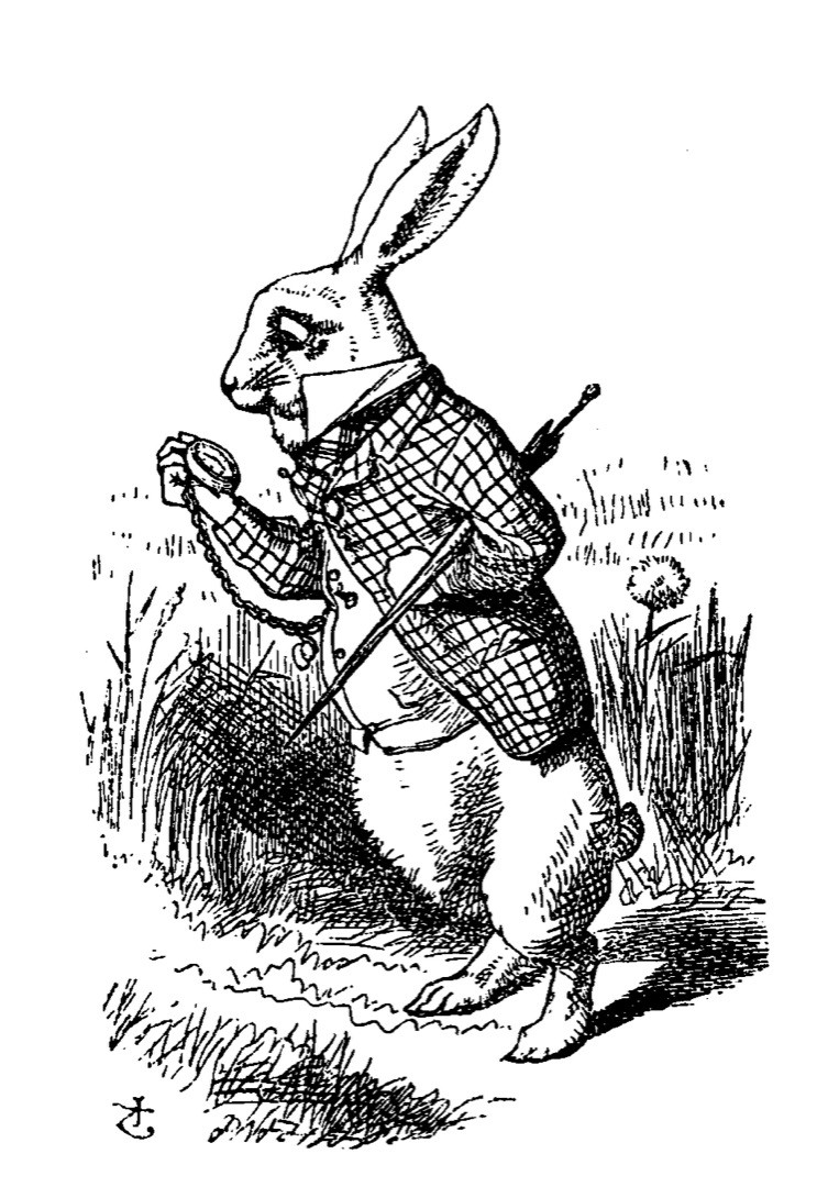 Article - Chasing the Elusive White Rabbit