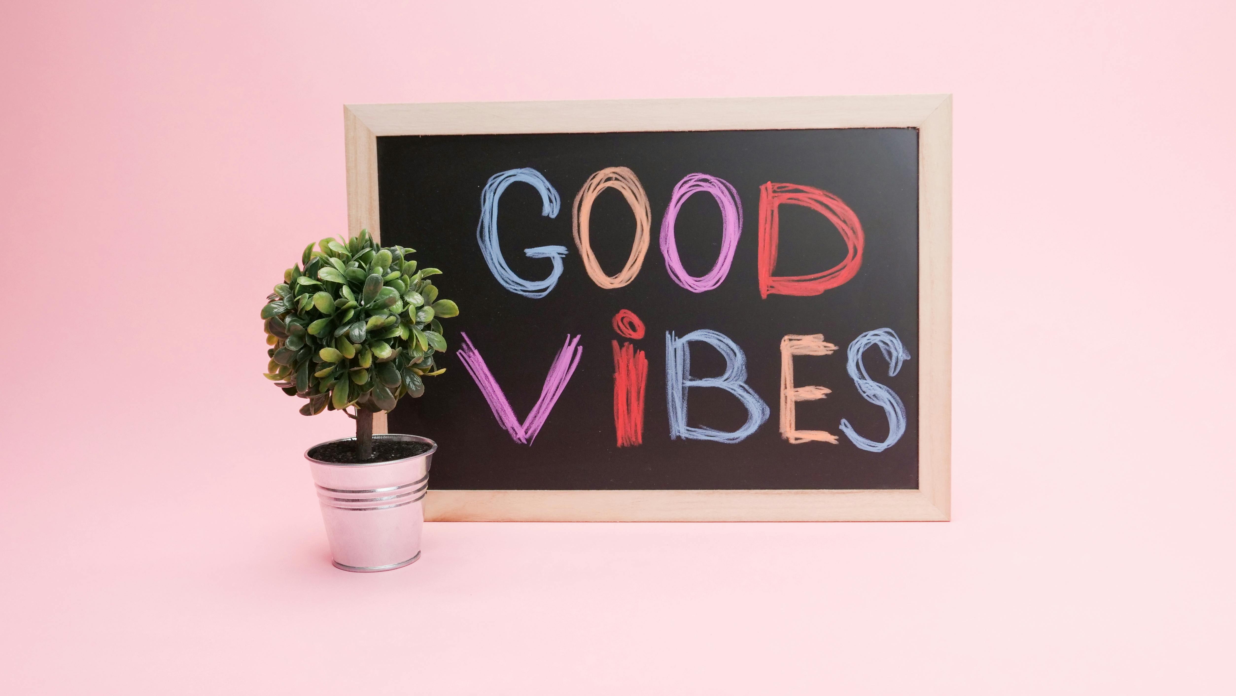 Programming is not a Vibe
