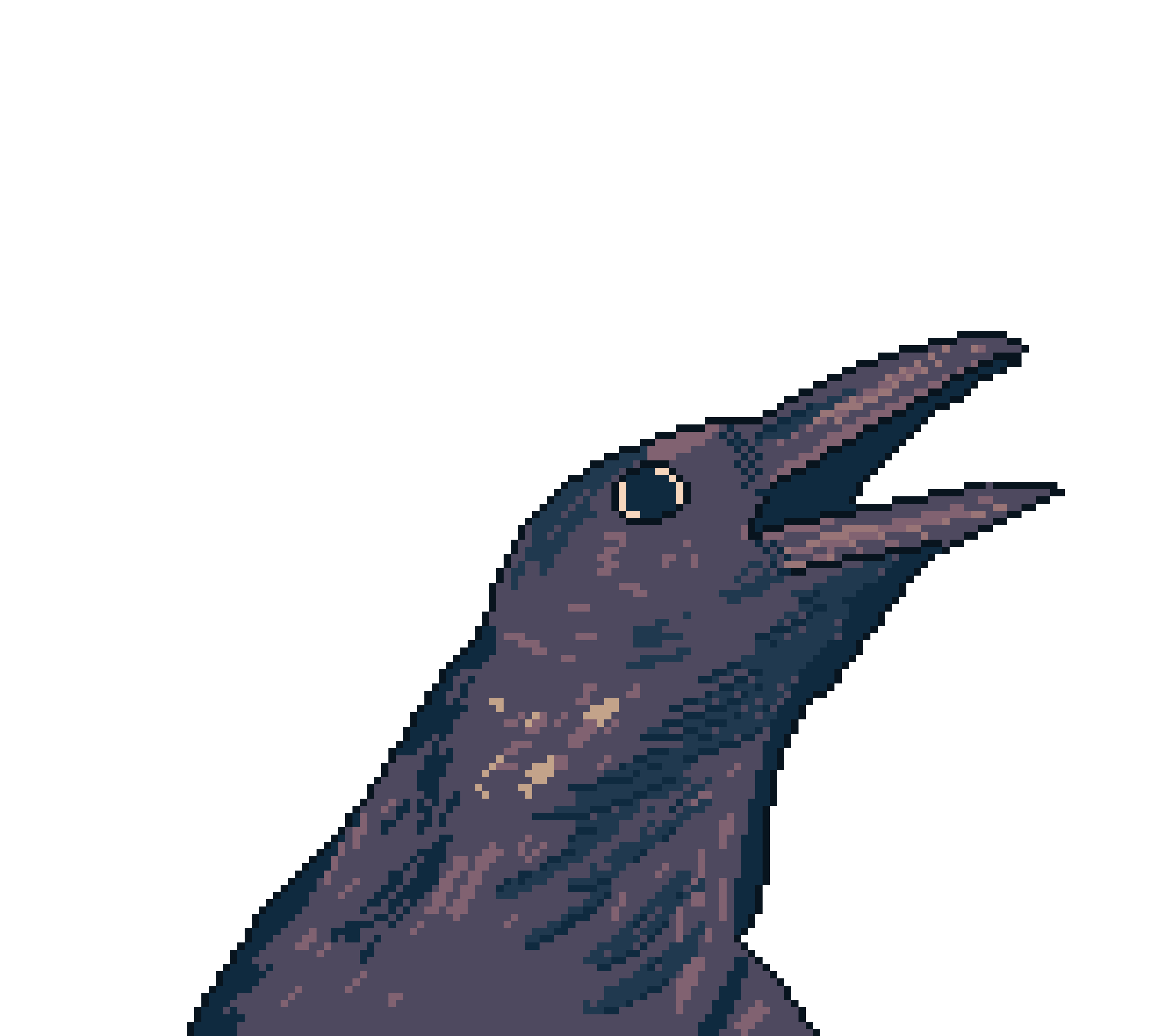 Pixel Crow